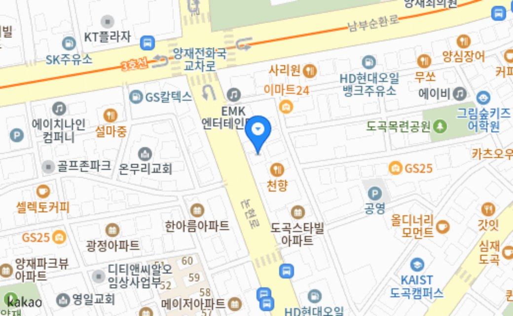 놀러오개 애견유치원 애견호텔 강남점 지도 위치