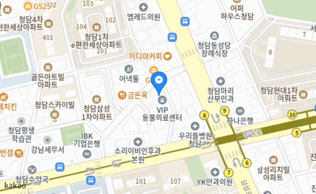 독핏 웰니스센터 지도 위치