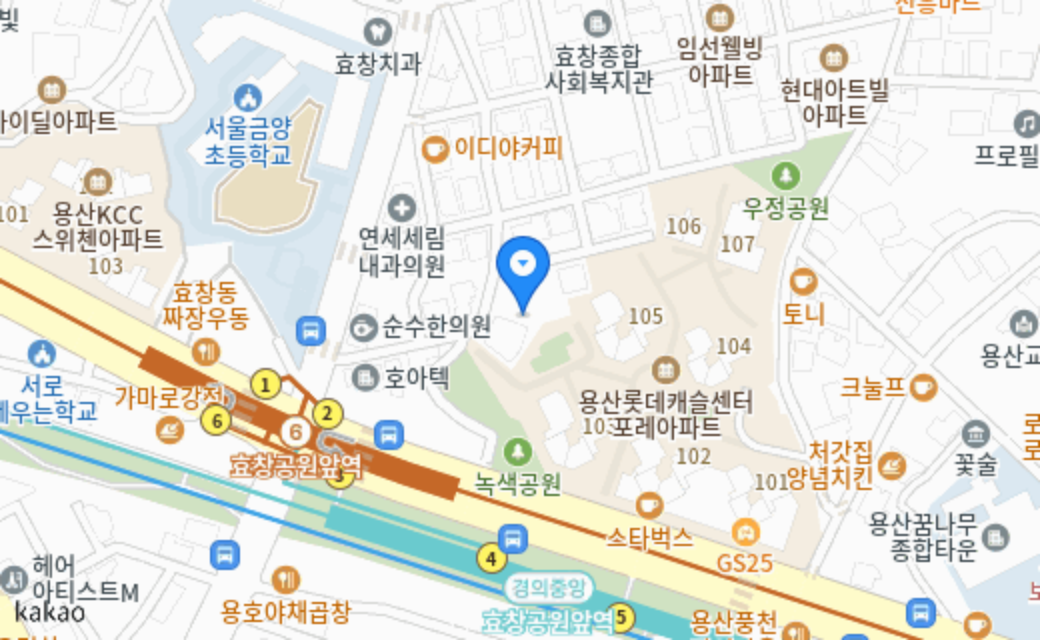 놀러오개 애견유치원 애견호텔 용산점 지도 위치