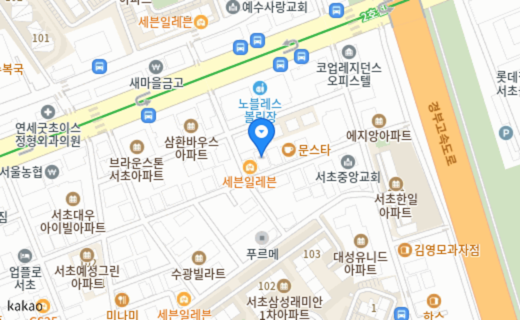 옐레드 애견유치원&애견호텔 서초교대역점 지도 위치