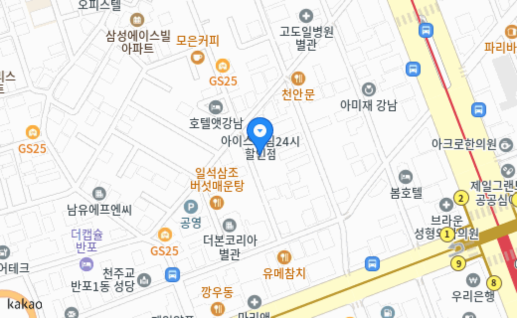켈리독 강남 애견호텔 애견유치원 지도 위치