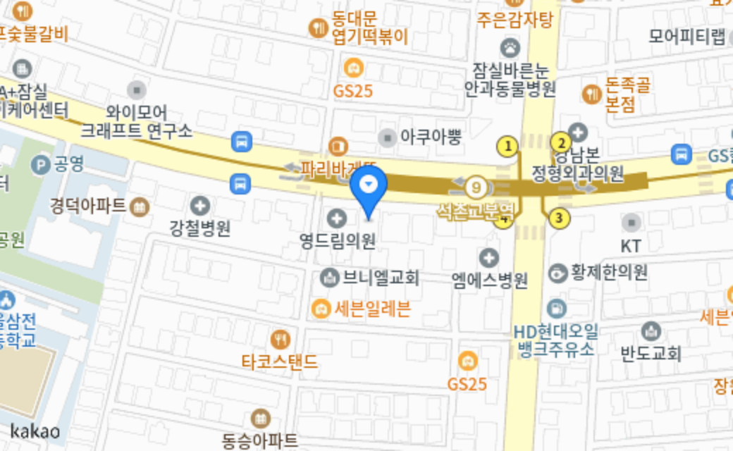 비비안나 지도 위치